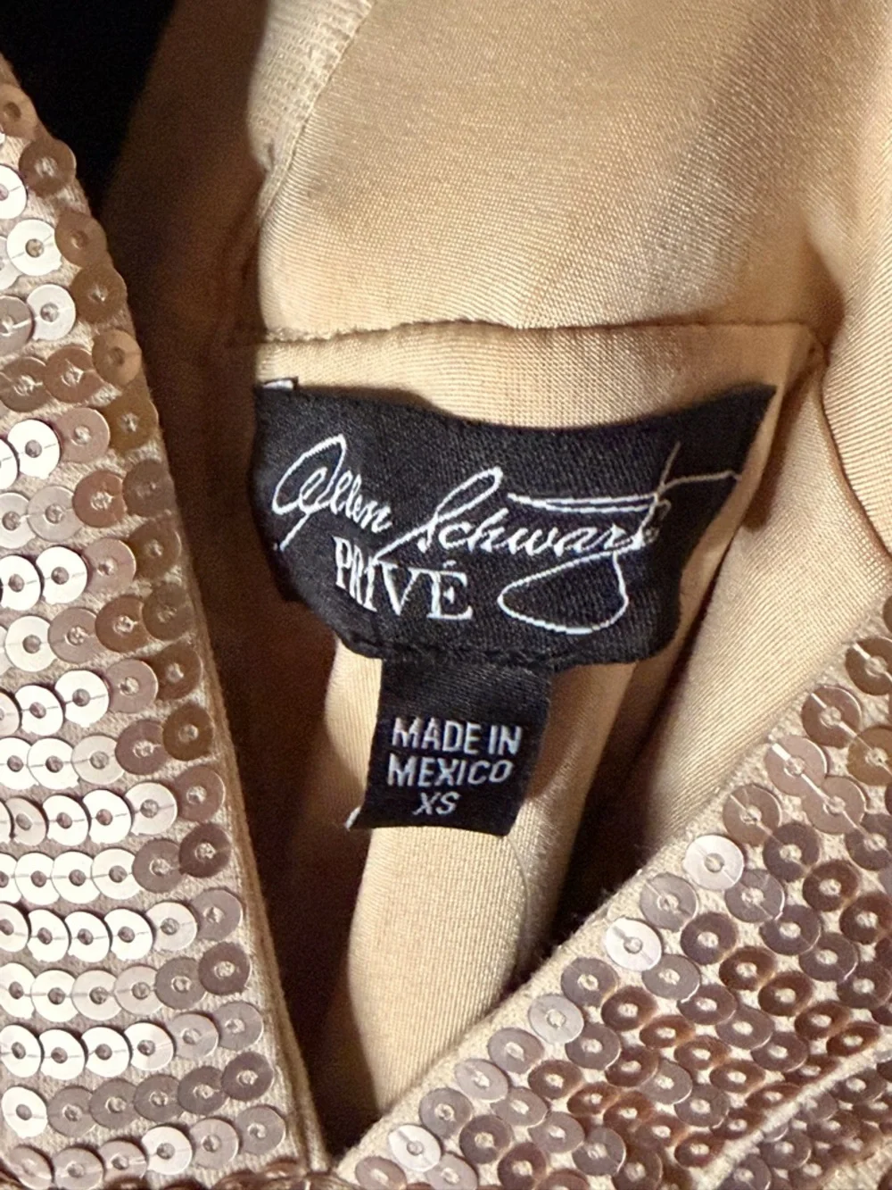 Galen Schwartz PRIVE Sequin V-Neck Dress in Champagne —#125 - Picture 11 of 12